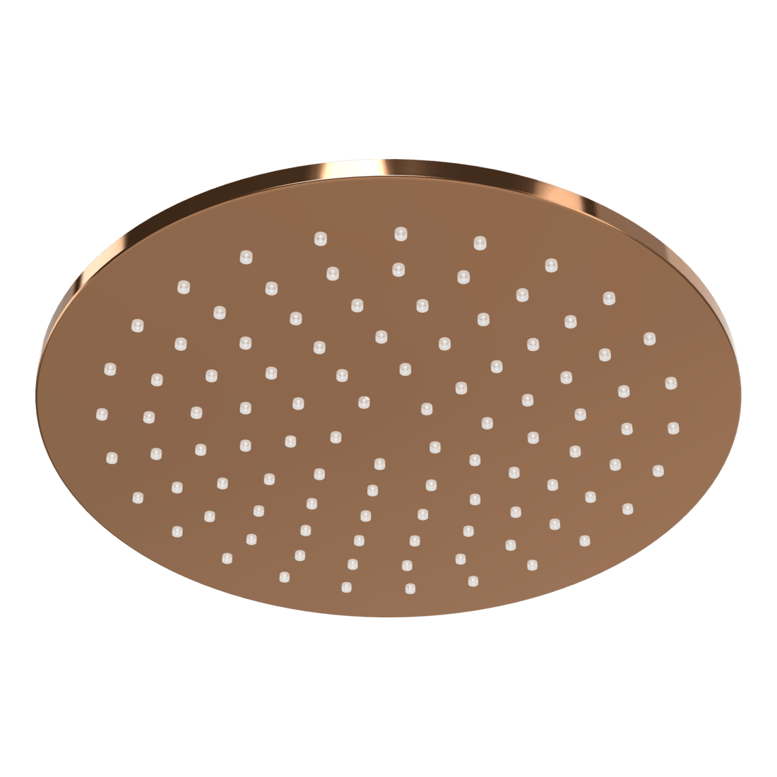 Wellness 250mm Showerhead in Amber Bronze