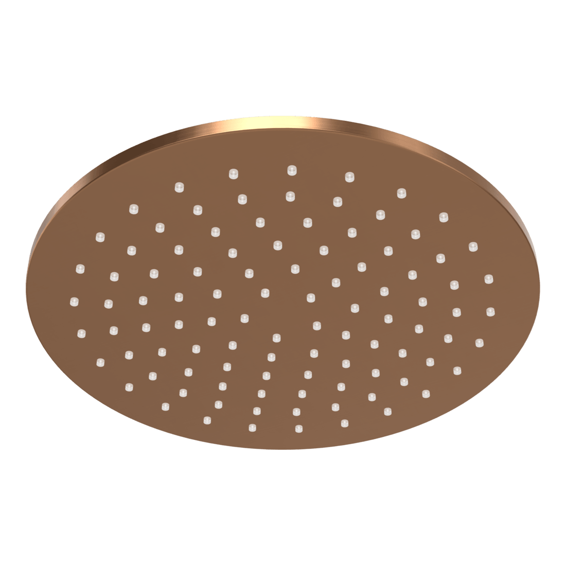 Wellness 250mm Showerhead in Brushed Amber Bronze