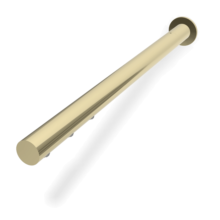 Wellness Still Showerhead in Champagne