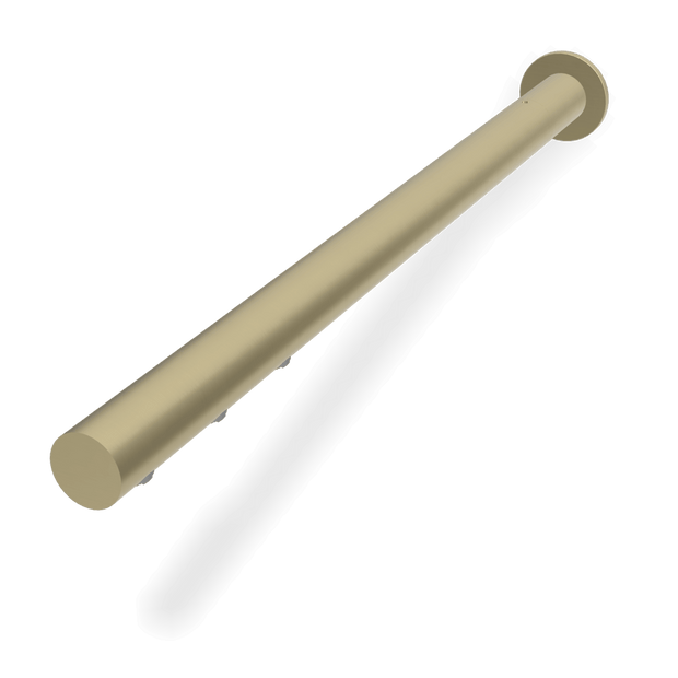 Wellness Still Showerhead in Brushed Champagne