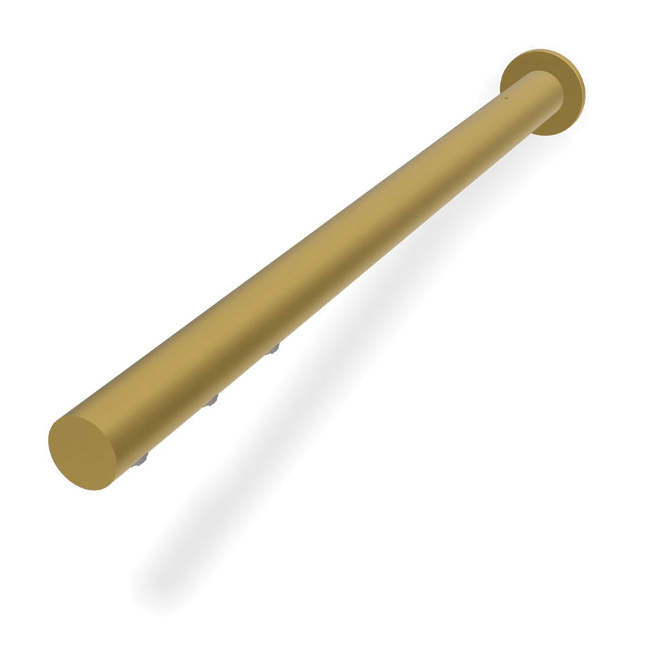 Wellness Still Showerhead in Brushed Gold