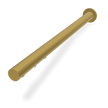 Wellness Still Showerhead in Brushed Gold
