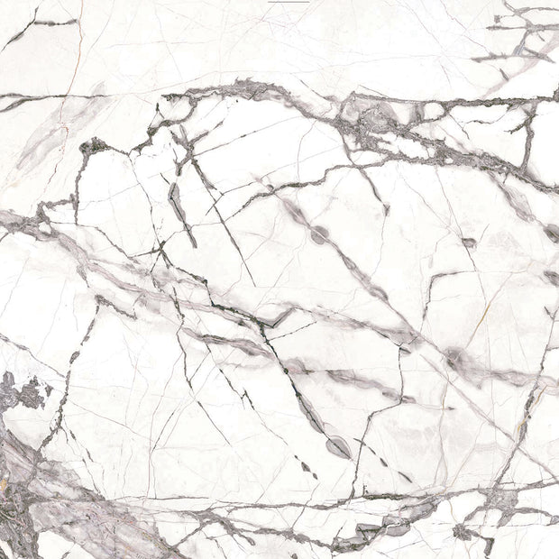 Florence Cellini Marble Look Porcelain Tiles 1200x1200mm tile