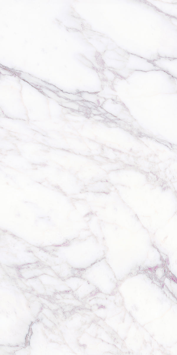 Florence Palladio Marble Look Porcelain Tiles 600x1200mm tile