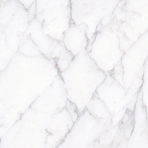 Florence Palladio Marble Look Porcelain Tiles 600x600mm tile