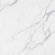 Elite Marble Bianco Venato Porcelain Tiles tile