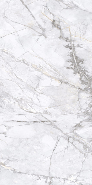 Elite Marble Porcelain Tiles Invisible Grigio 600x1200