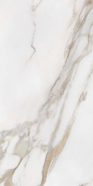 Elite Marble Porcelain Tiles Calacatta Macchia 600x1200