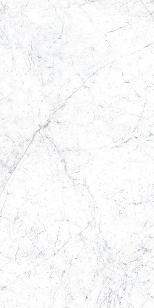 Euromarmo Carrara Venatino Polished Marble Look Porcelain Tiles tile