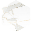 Euromarmo Calacatta Gold Marble Look Porcelain Tiles 260x300mm tile