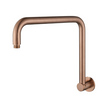 Round High Rise Shower Arm - champagne