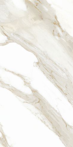 1600x3200