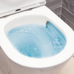 Fienza Koko Tornado Back-to-Wall Toilet Suite, Matte White