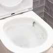 Tono Tornado Flush Back-to-Wall Toilet Suite, Gloss White with Slim Seat