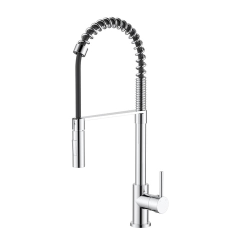 Modern National Kasper Spring Multi-Function Kitchen Mixer