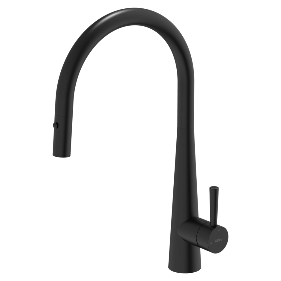 304 Gooseneck Pull Out with Dual Spray Function Kitchen Mixer in Matt Black