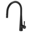 304 Gooseneck Pull Out with Dual Spray Function Kitchen Mixer in Matt Black