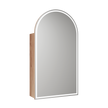 Canterbury LED Shaving Cabinet