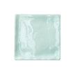 Luxe Mint Porcelain Tiles 100x100mm tile