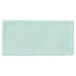 Luxe Mint Porcelain Tiles 76x152mm tile