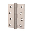 Butt Door Hinge