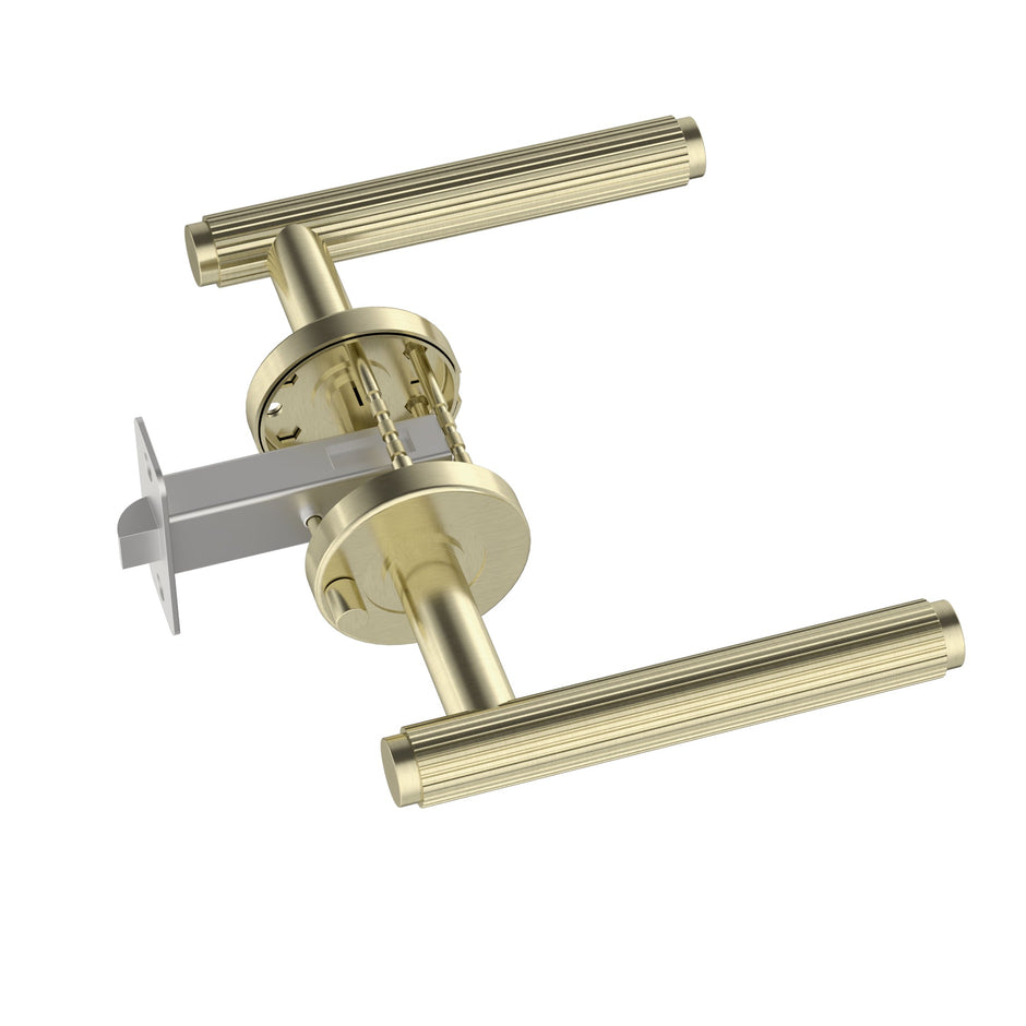 Öppen Linear Lever Door Handle - privacy