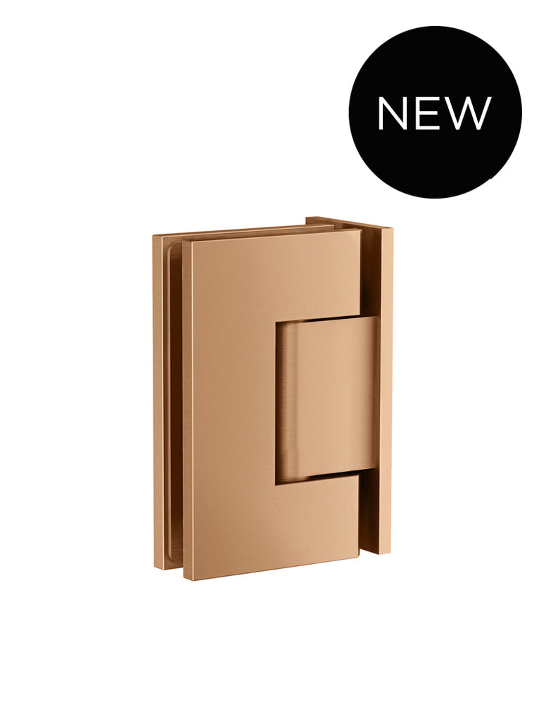 Glass to Wall Shower Door Hinge