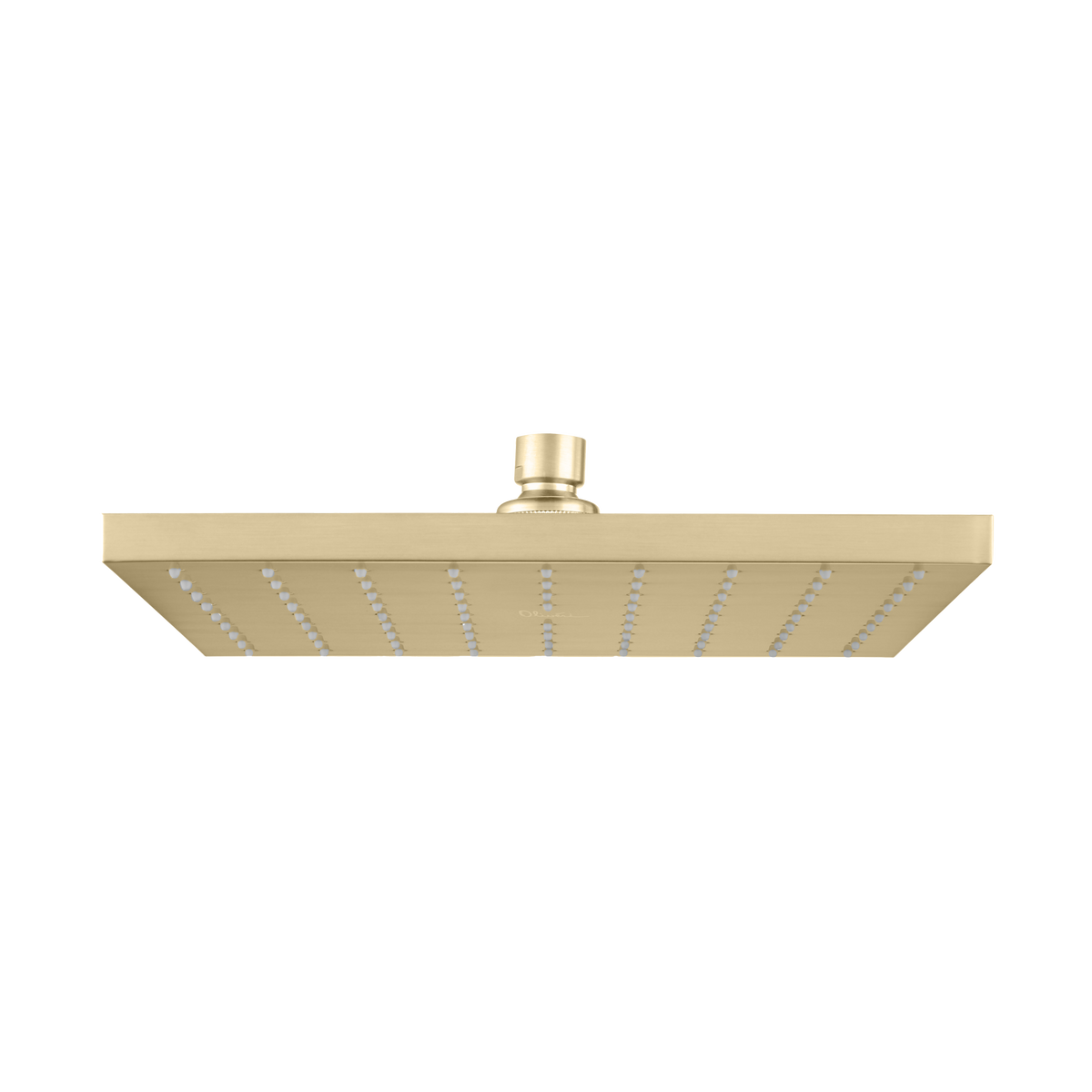 Monaco Shower Rose 250mm in Classic Gold