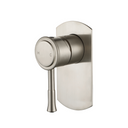 Warm Brushed Nickel