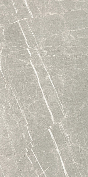 Ashora Honed Natural Stone Tiles 300x600 tile