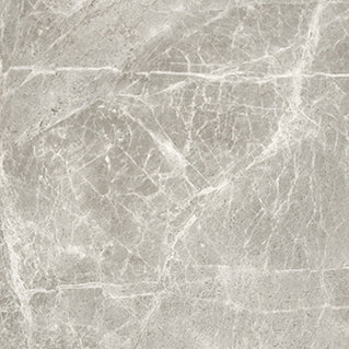 Ashora Honed Natural Stone Tiles 600x600 tile