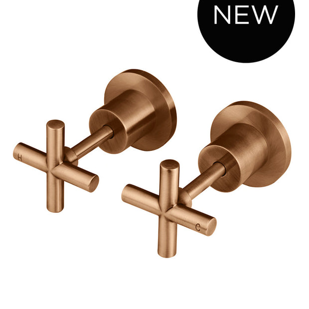 Round Cross Handle Jumper Valve Wall Top Assemblies