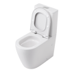 Naples Comfort Height Back To Wall Toilet Suite view 2
