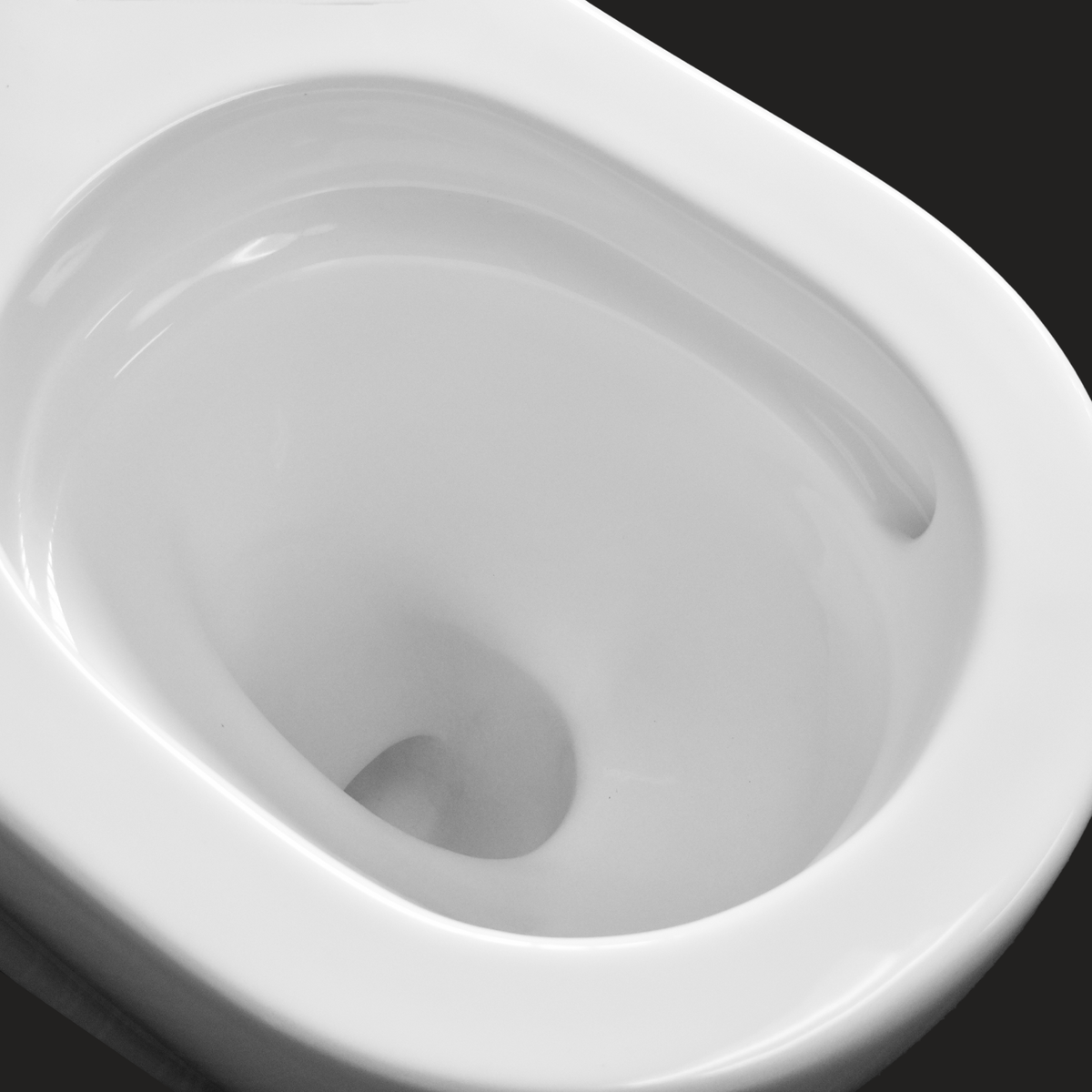 Naples Comfort Height Back To Wall Toilet Suite view 3