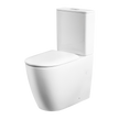 Naples Comfort Height Back To Wall Toilet Suite