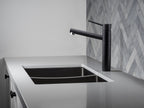 Spectra Double Bowl Sink in a styled room