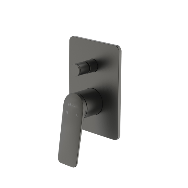 Paris Wall Mixer With Diverter in Gunmetal