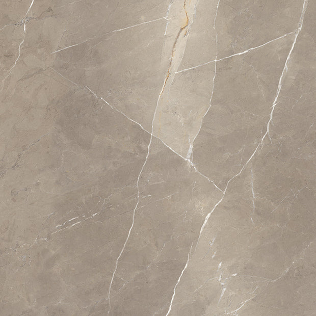 Superb Marble Pietra Taupe Natural Porcelain Tiles tile
