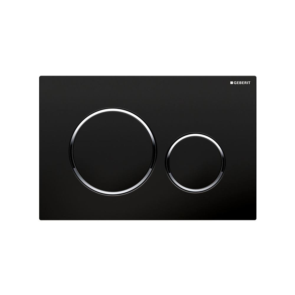 Concealed Cistern Flush Plate with Round Buttons in Black