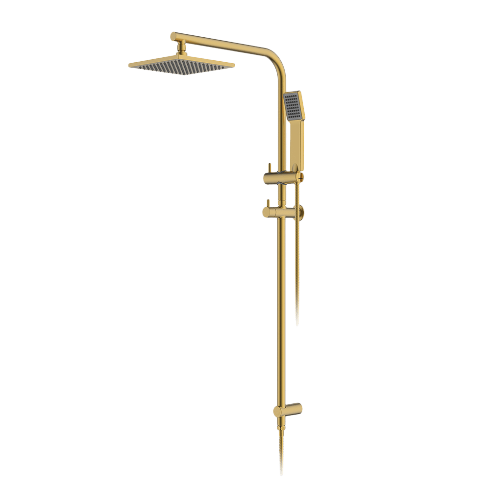 Twin Arch Rain and Hand Shower Ensemble in Brushed Brass