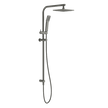 Twin Arch Rain and Hand Shower Ensemble in Gun Metal
