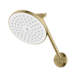 Rome High Rise Shower in Classic Gold