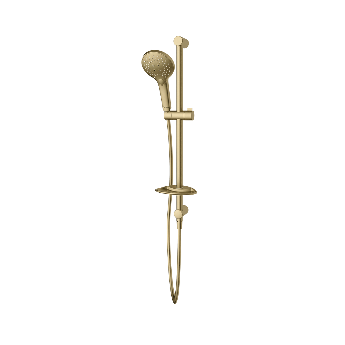 Rome Hand Shower With Rail in Classic Gold