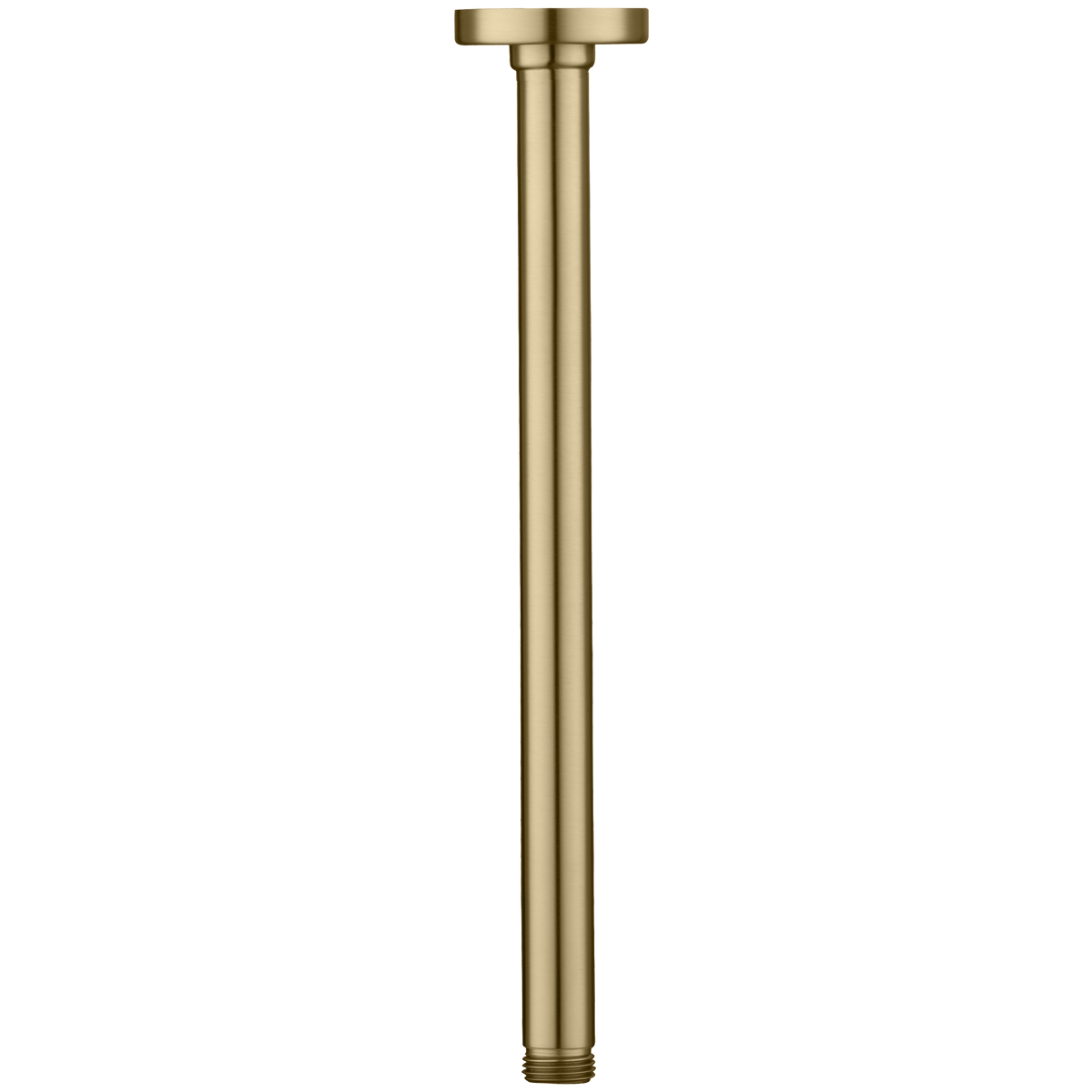 Rome Ceiling Mounted Shower Arm in Classic Gold