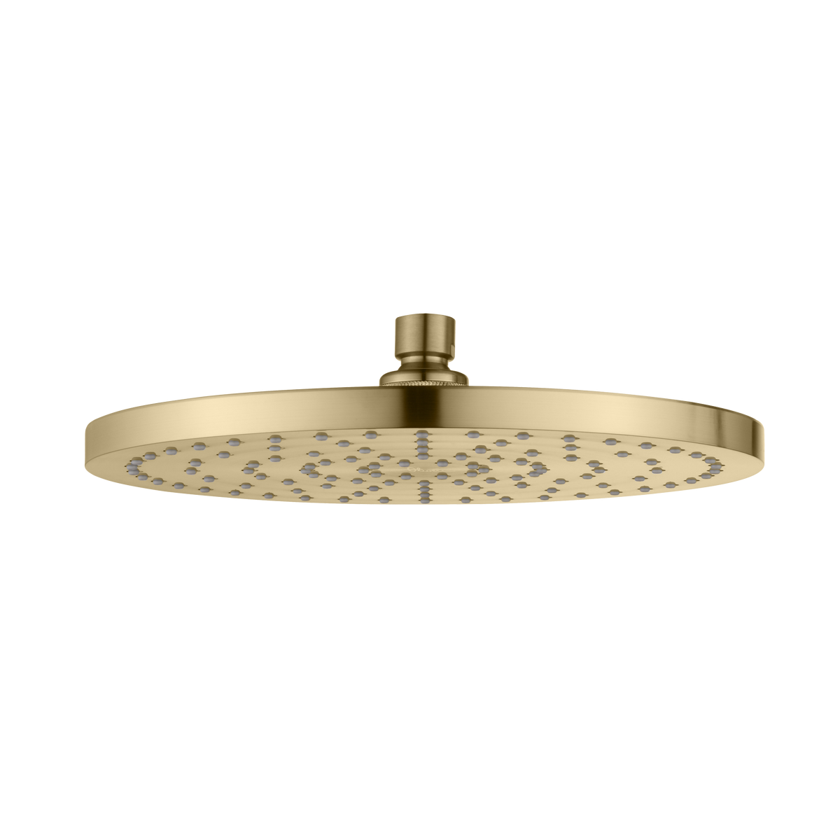 Rome Shower Rose in Classic Gold