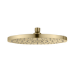 Rome Shower Rose in Classic Gold