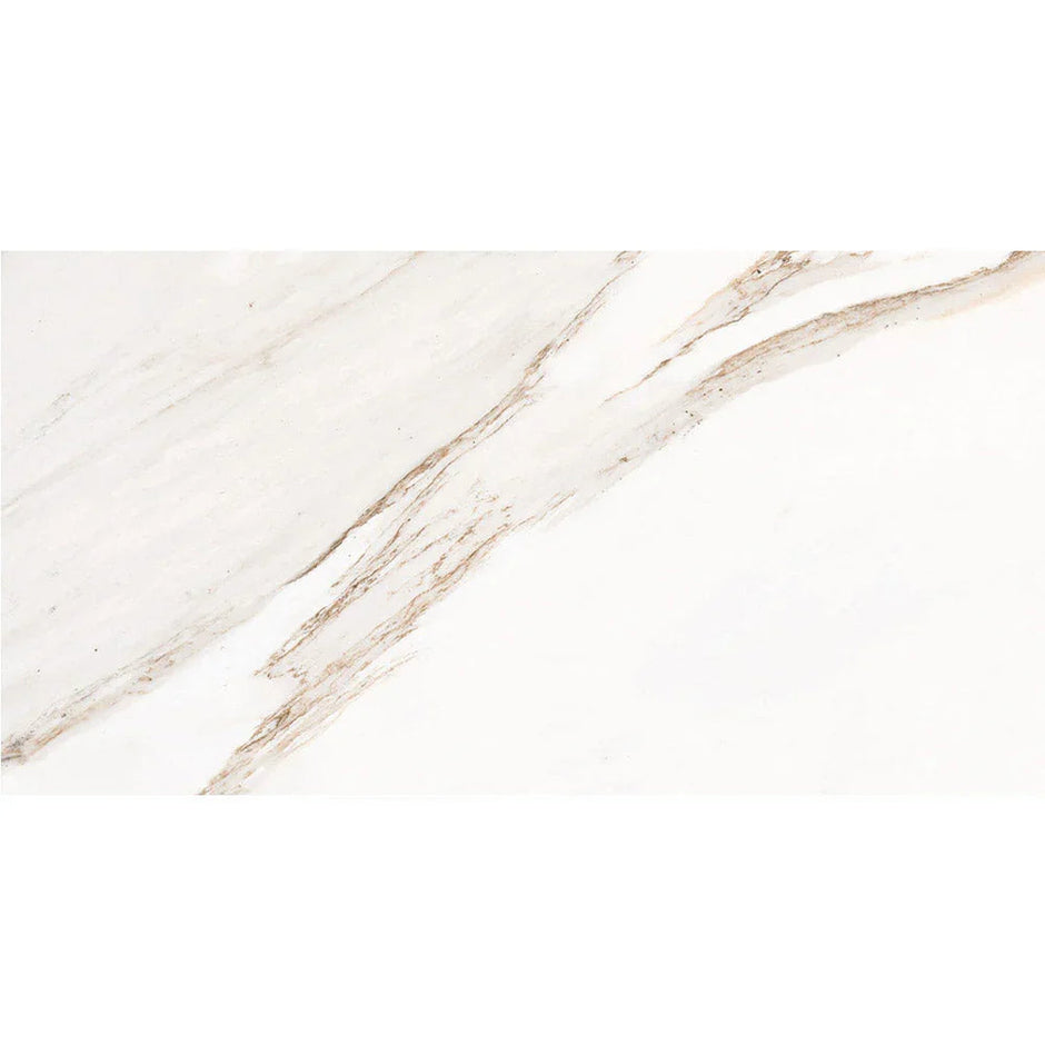 Romani Cardiff Carrara Timber Look Porcelain Tiles tile