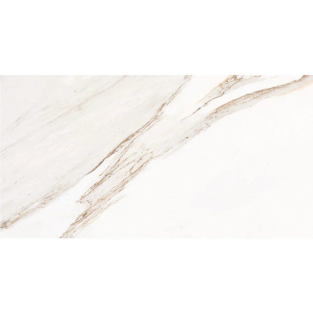 Romani Cardiff Carrara Timber Look Porcelain Tiles tile