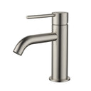 Warm Brushed Nickel