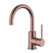 Star Mini Basin/Kitchen Mixer - champagne